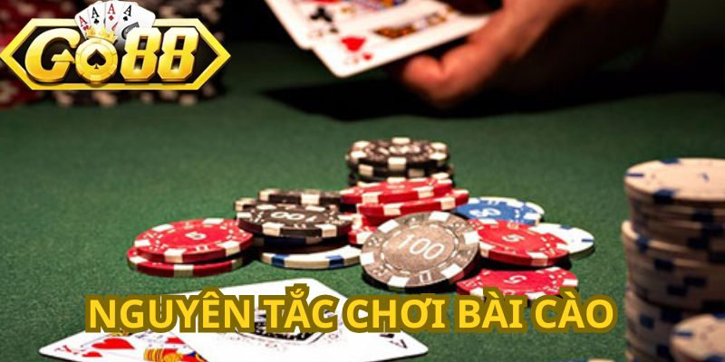 Những quy tắc cần nắm rõ trong bài cào